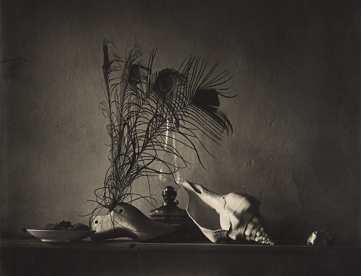 JOSEF SUDEK (1896-1976) Still life in the style of Caravaggio (still life with peacock feathers and a conch shell).